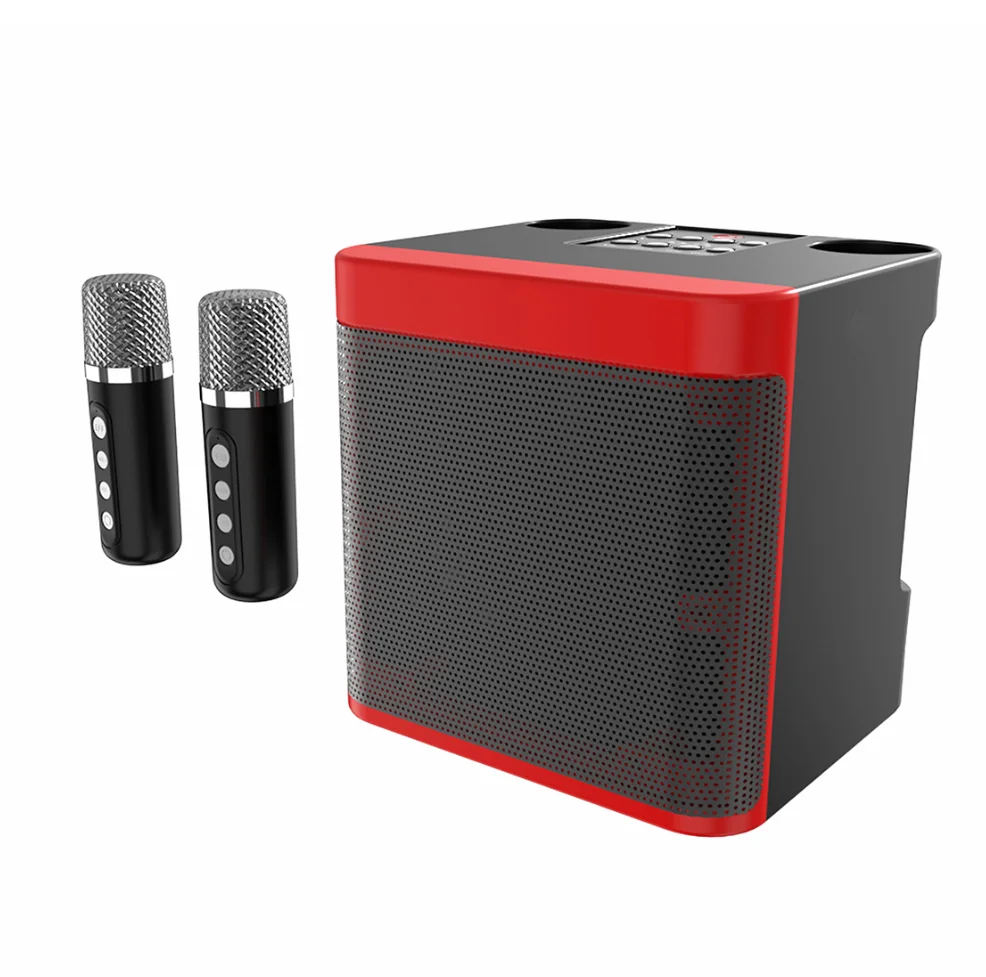 Indoor Outdoor Bluetooth Karaoke Speaker - 10W Power