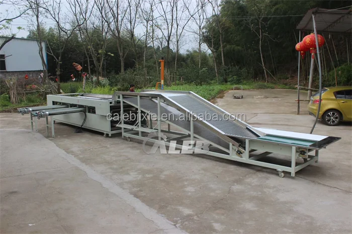 Professional Tomato Date Palm Sorting Grading Machine - Buy New Style ...