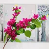 2 rami bouganvillea-2