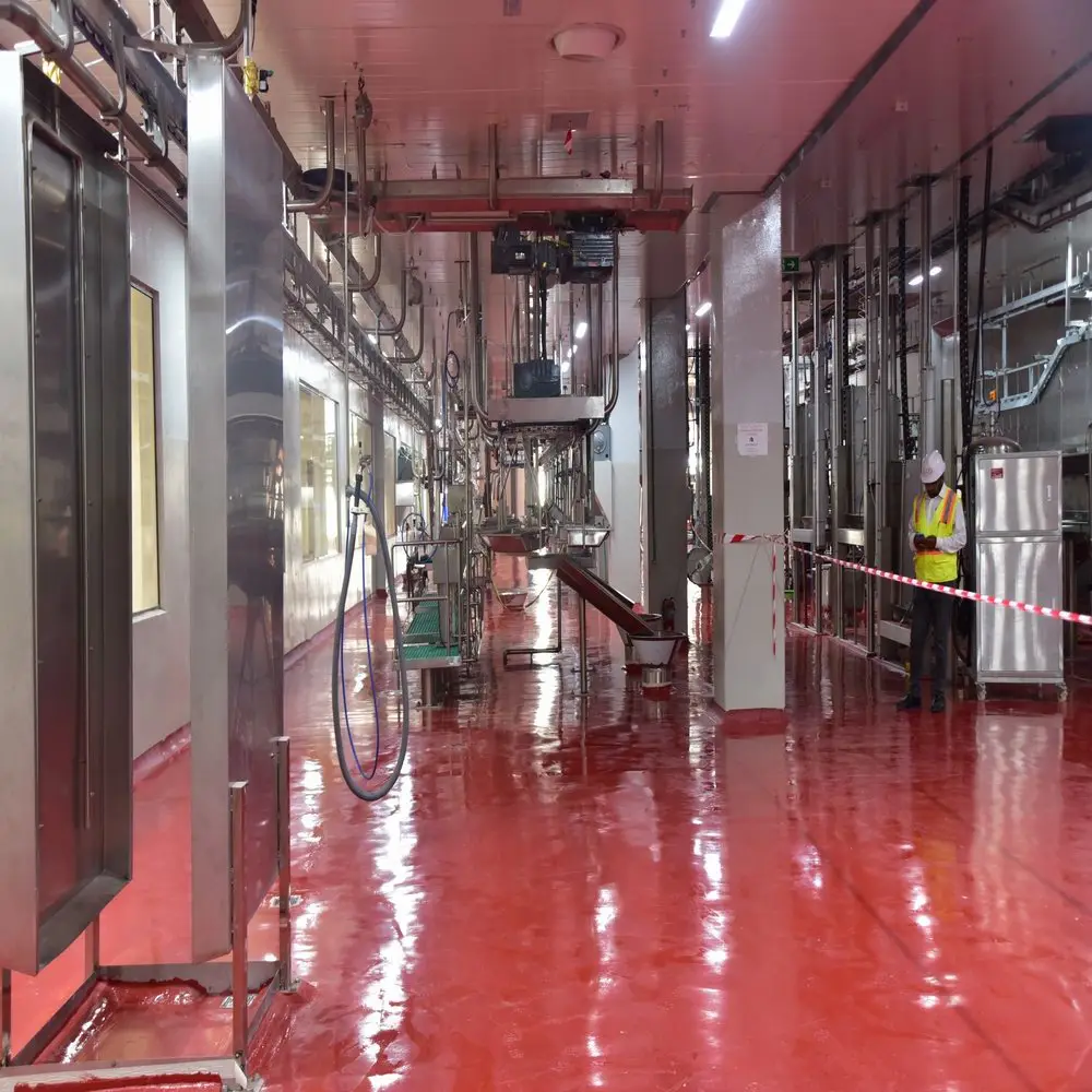 Modern design sheep slaughtering machine with deboning line, suitable for sheep slaughterhouses
