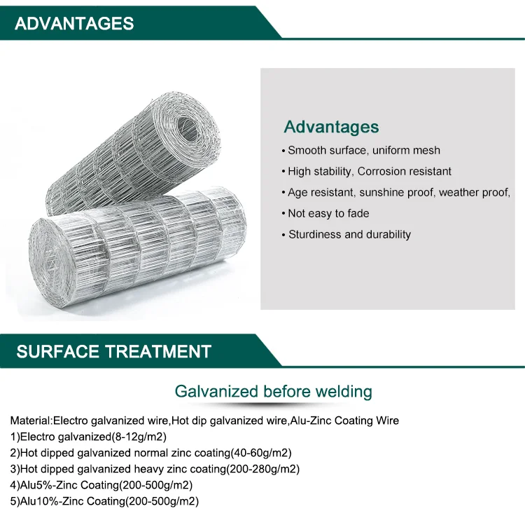 Stainless Steel Welded Wire Mesh Hot Dipped Electro Galvanized Welded