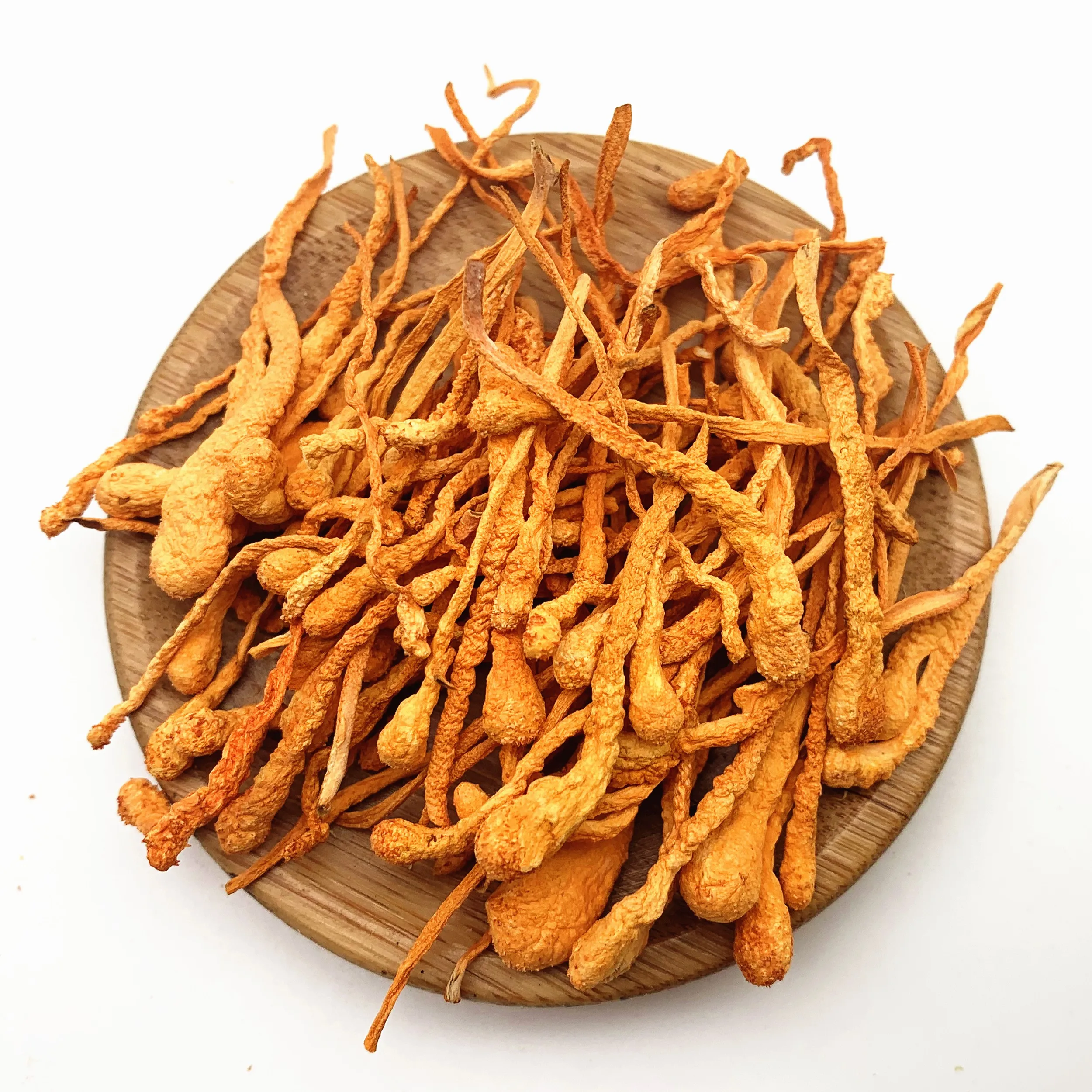 special grade cordyceps militaris / king of cordyceps dry
