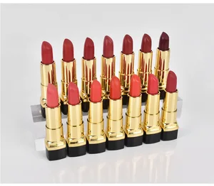Premium Natural Mineral Beauty Lipstick Set Waterproof Matte Gel Lipstick Custom Logo Vegan Color Changing Moisturizing Formula
