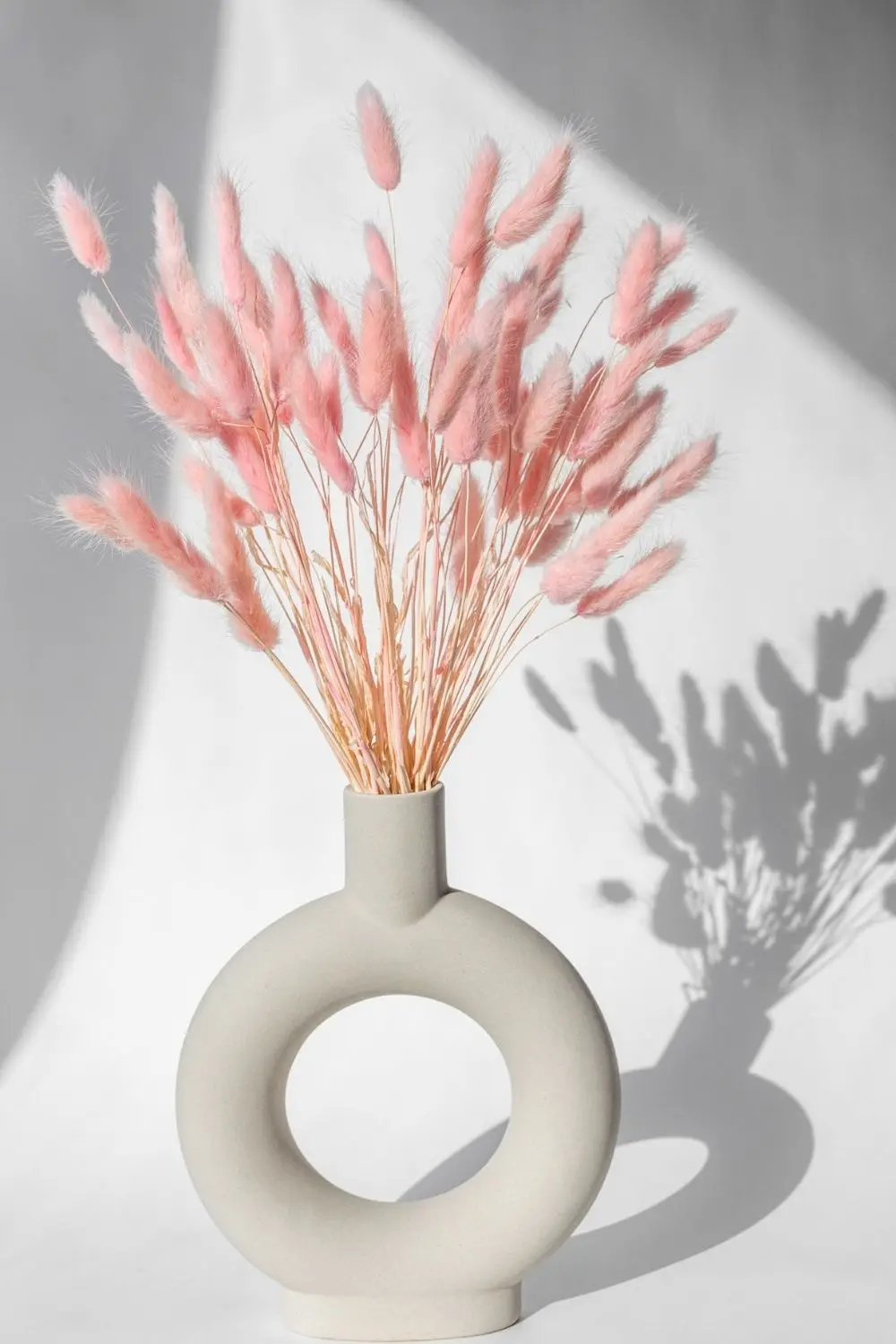 60 120pcs Dried Bunny Tails Flowers Multicolor Rabbit Tail Grass Dried Grass Bouquet For Home Wedding Party Table Diy Dry Floral Arrangement Decor 17 - Home & Kitchen - Saudi Arabia