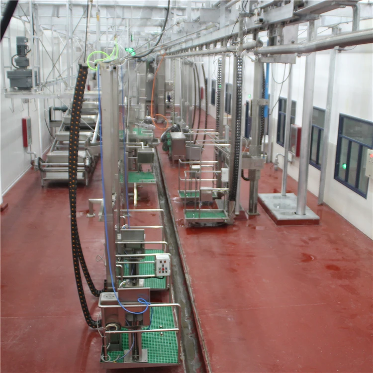 Slaughtering machinery for ceremonial cattle slaughter with halal slaughtering equipment