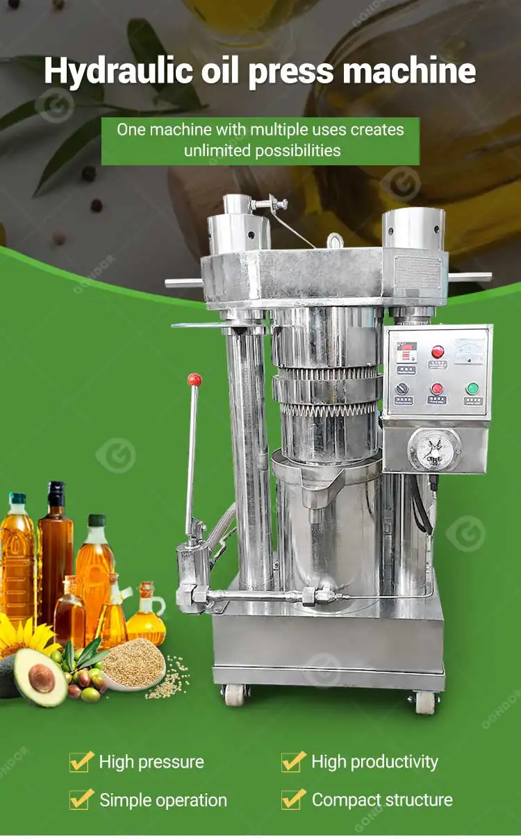 Ground Nut Pressing Walnut Press Presse a Huile Hydraulique Pumpkin Seed Oil Extraction Machine