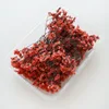 Erba di cristallo rossa (circa 10 grammi)