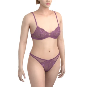 Luxury Women's Silk Underwear Set Custom Hot Sexy Bra and Panties with Lace Mesh Embroidery Decoration Free Size Wholesale