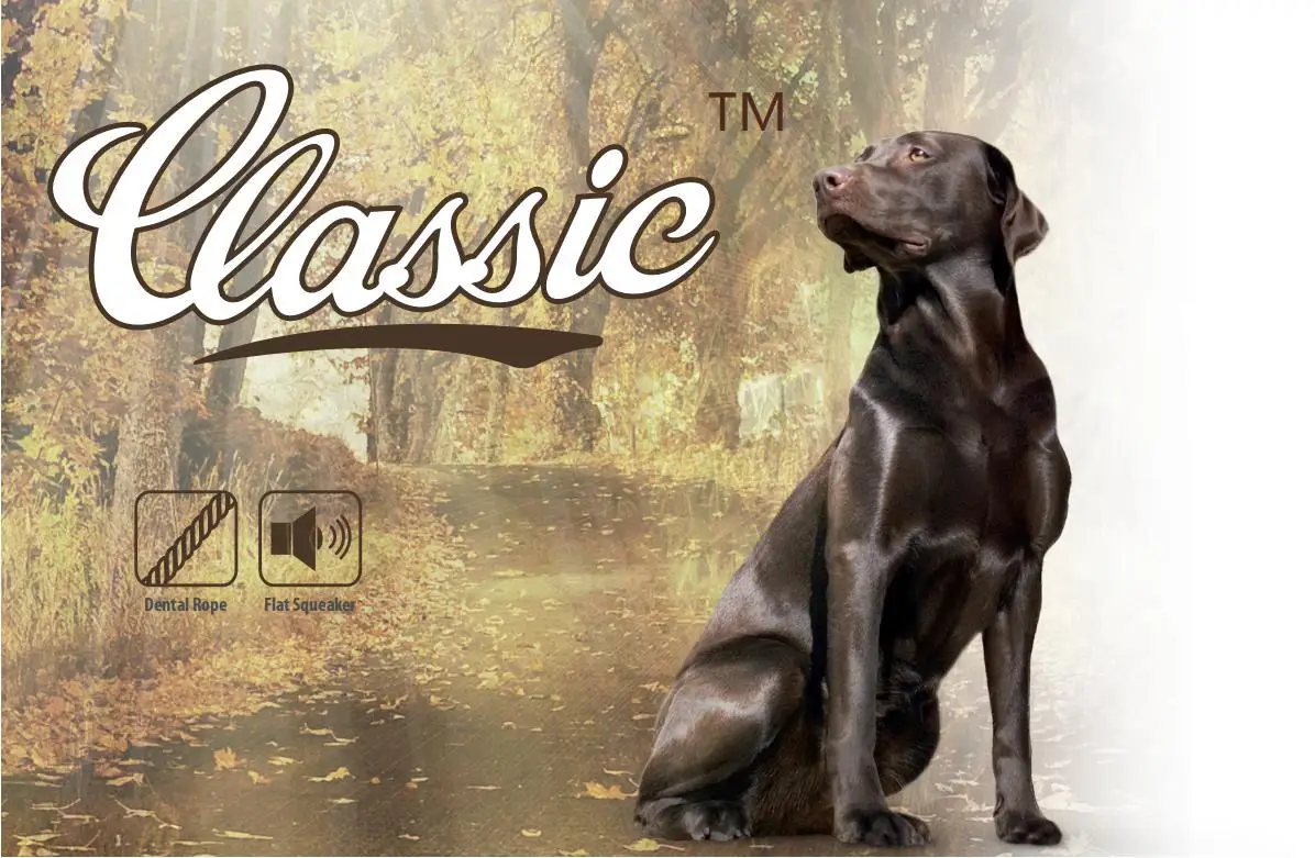 Afp Classic Backyards Real Deal Raccoon Squirrel Plush Soft Durable