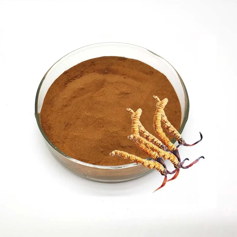 cordyceps extract;caterpillar fungus extract