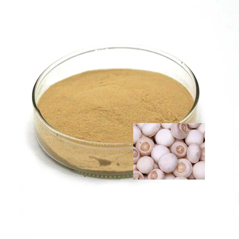 
 Порошок Agaricus Bisporus (белый гриб), съедобный и лекарственный гриб  