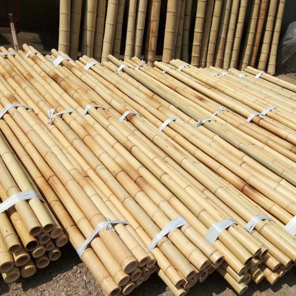 Moso Bamboo Poles 10 Foot 3 Inch For Building - Buy Moso Bamboo Poles ...