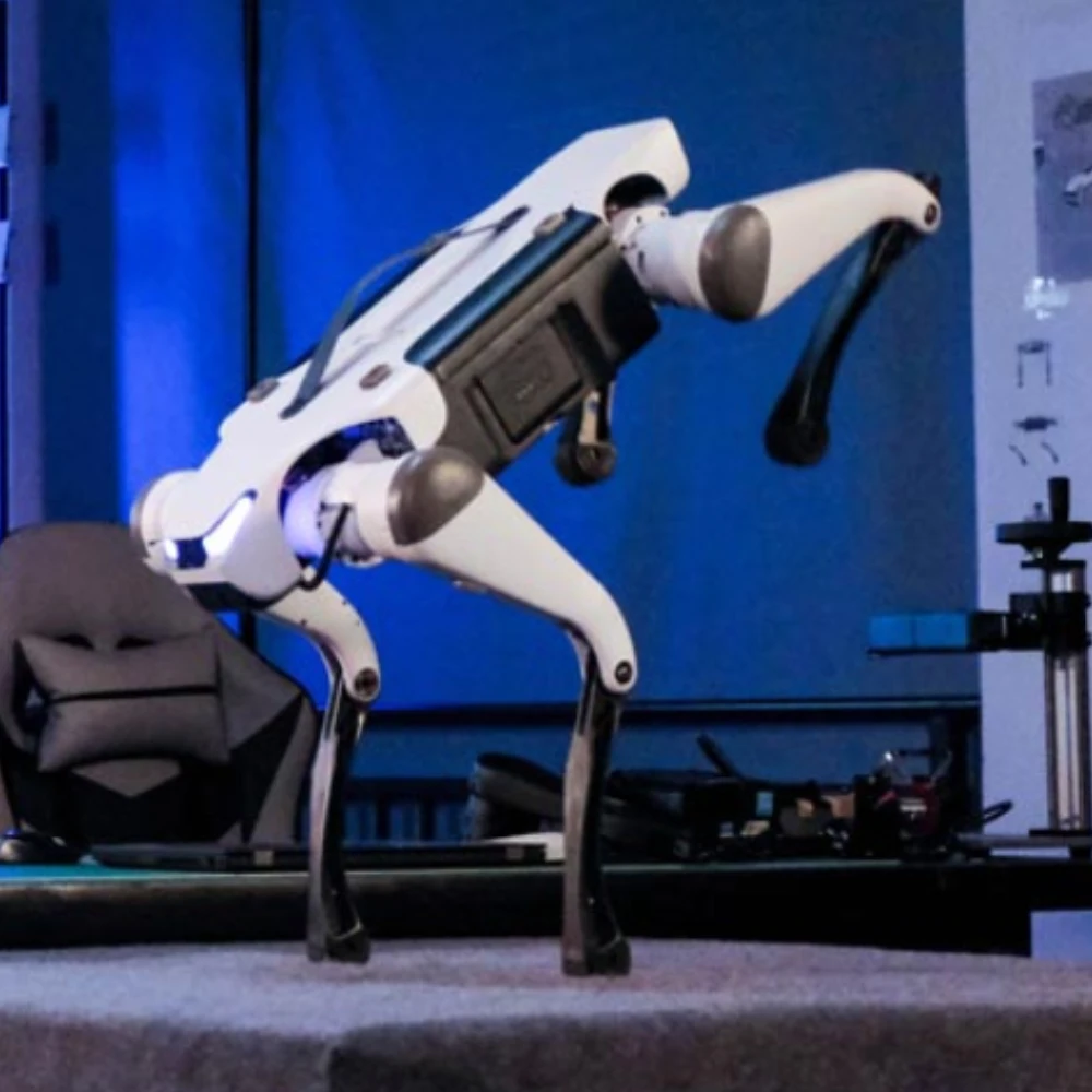High-Performance Lite 3 Quadruped Robot Dog for STEM Education and Robotics Research