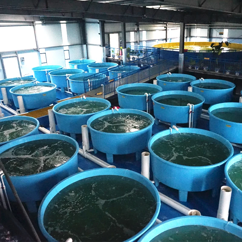 Drum Filter Pond Εξοπλισμός ιχθυοκαλλιέργειας εσωτερικού χώρου Σύστημα υδατοκαλλιέργειας RAS