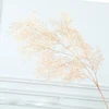 Champagne Rime