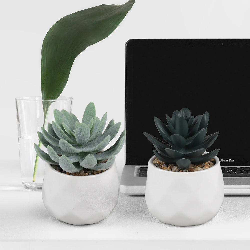 Artificial Succulents in White Ceramic Pot - Realistic Decor