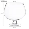 12000 ml