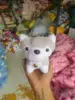 Cristal súper husky - 18cm--20cm