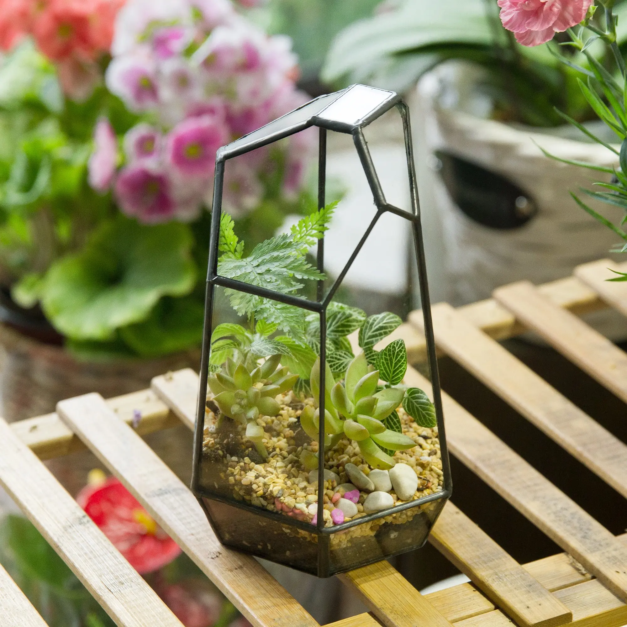 Art Deco-Inspired Table Top Plant Terrarium Wooden Frame Light Bulb Glass Vase Metal Rotating Stand Retro Hydroponics Design