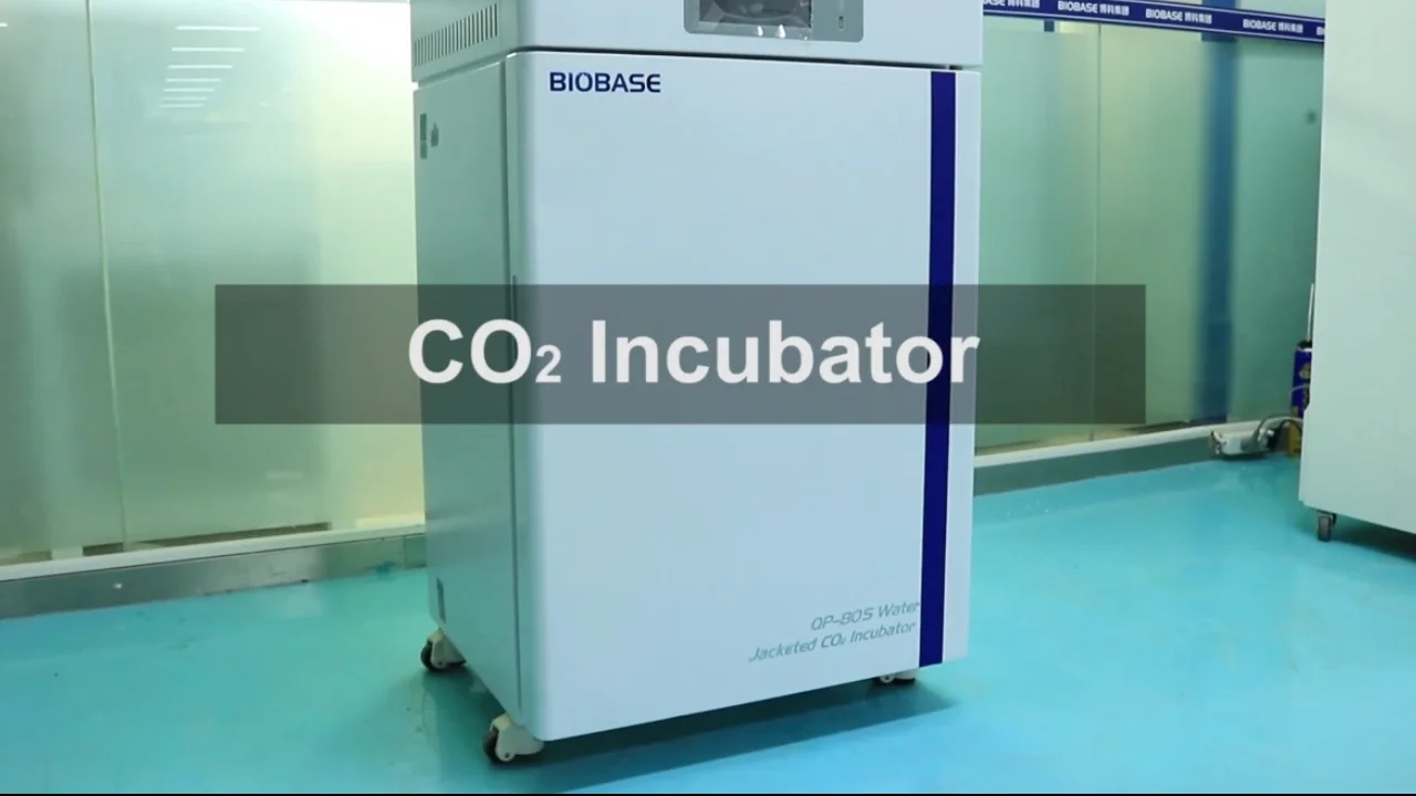 Biobase China 50l Co2 Incubator Bjpx-c50ii (air Jacket) With Large Lcd ...