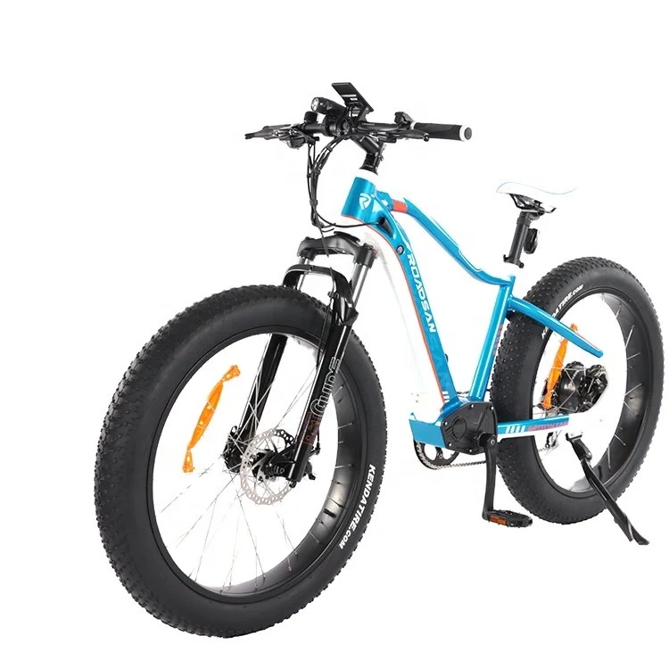 electric fat bike frame