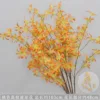 Ramas de lirio araña de color naranja con ramas altas