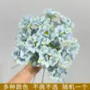 ดอกคามิลเลียสีน้ำเงิน-ก้านดอกเคลือบพรีเมี่ยม