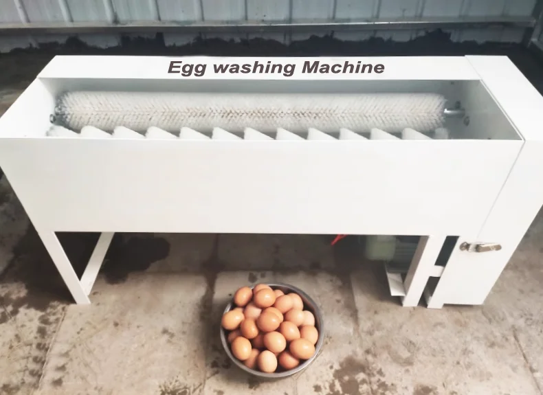 Stainless steel chicken duck eggs washing machine commercial egg cleaning equipment