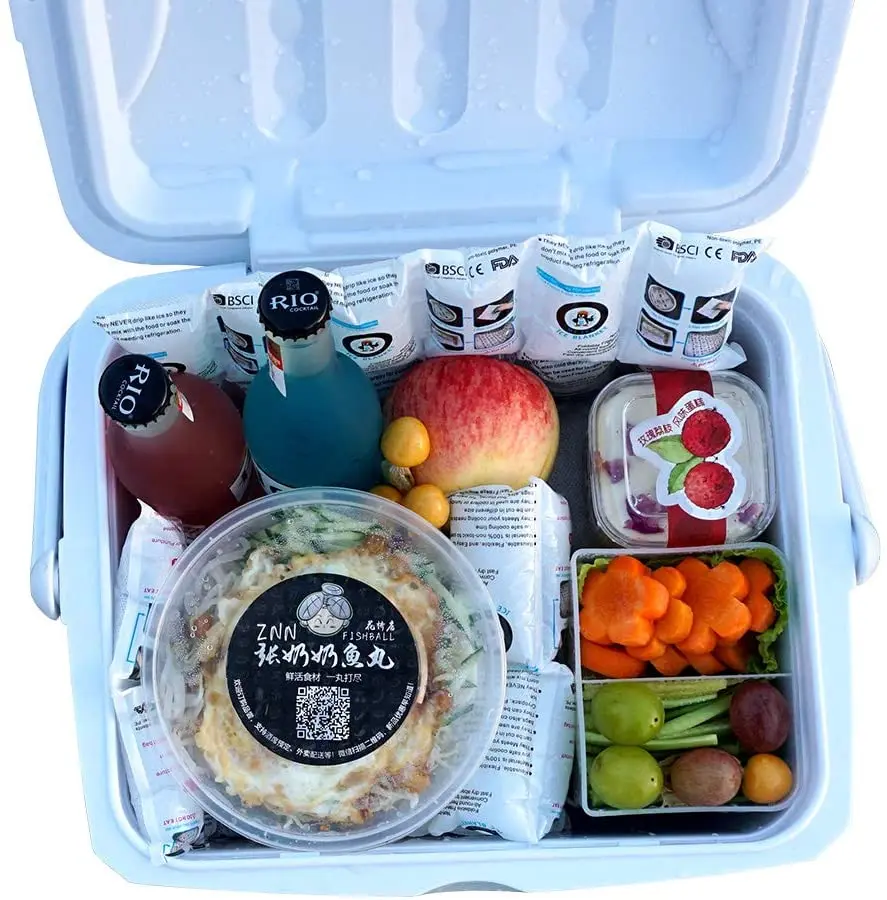 World-Bio Cool Coolers Reusable Ice Packs Bag Boxes Reusable for