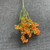 Arancione