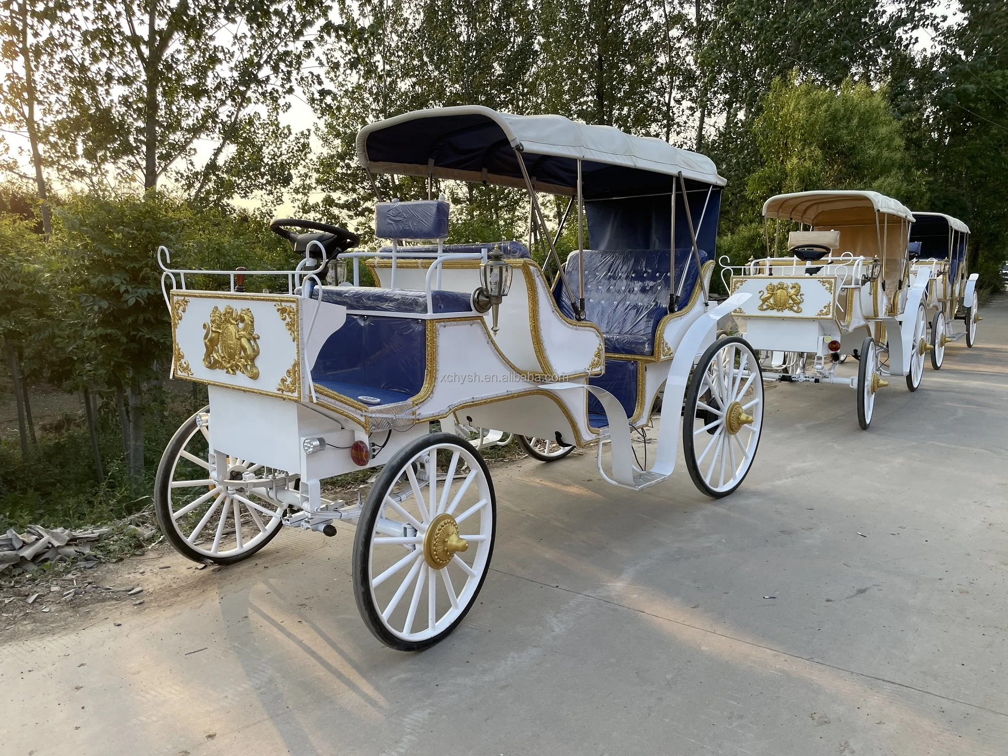 6seater Electric Special Transport Vehicle/noble Electric Tourist