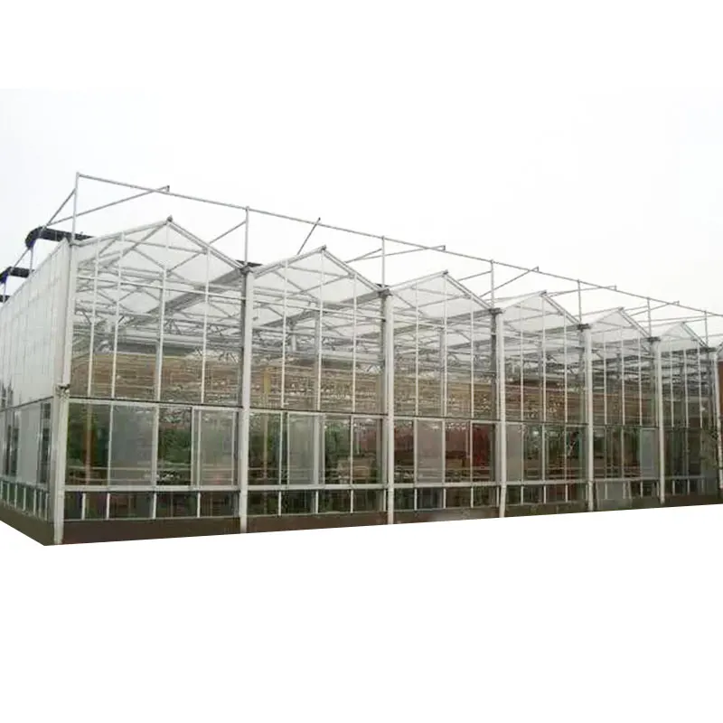 Hot Selling Small Greenhouse Multi Span Metal Frame with Greenhouse Film and Glass for Home Gardens