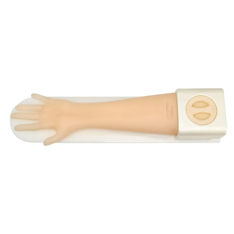 B-ultrasound Arteriovenous Fistula Training Model for Percutaneous Transluminal Angioplasty (PTA)