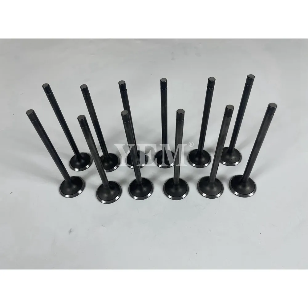 FE6TA Intake Valve for Nissan