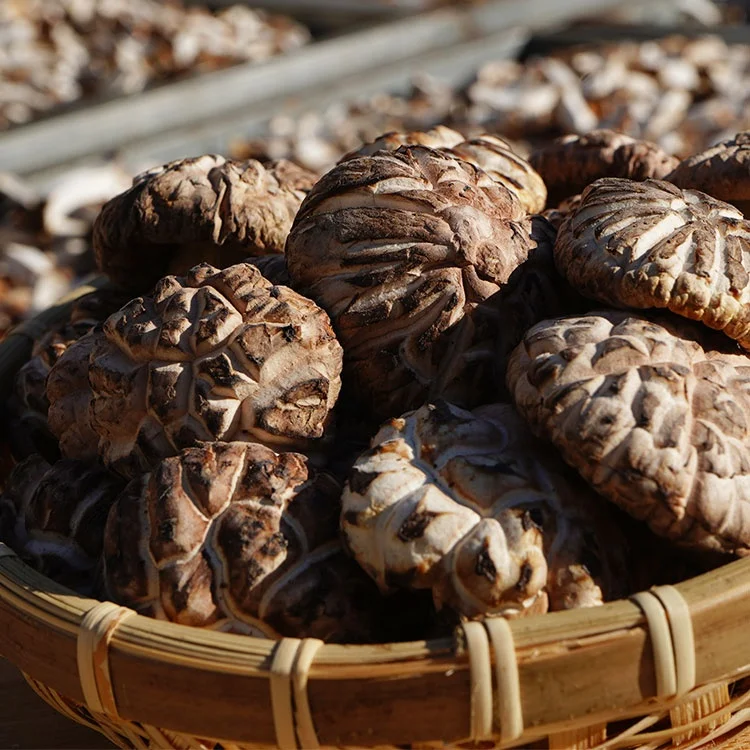 Сушеный цветочный гриб шиитаке высшего уровня