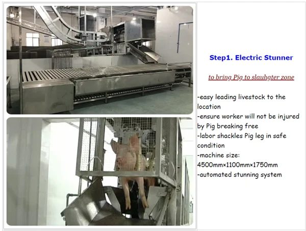 Complete pig slaughterhouse equipment for pork slaughterhouse meat processing and meat production