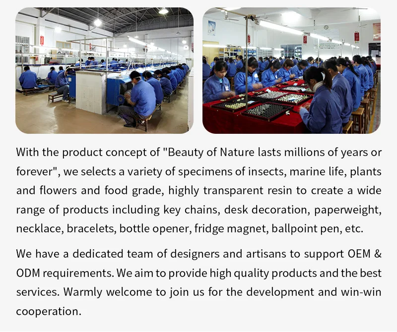Company overview