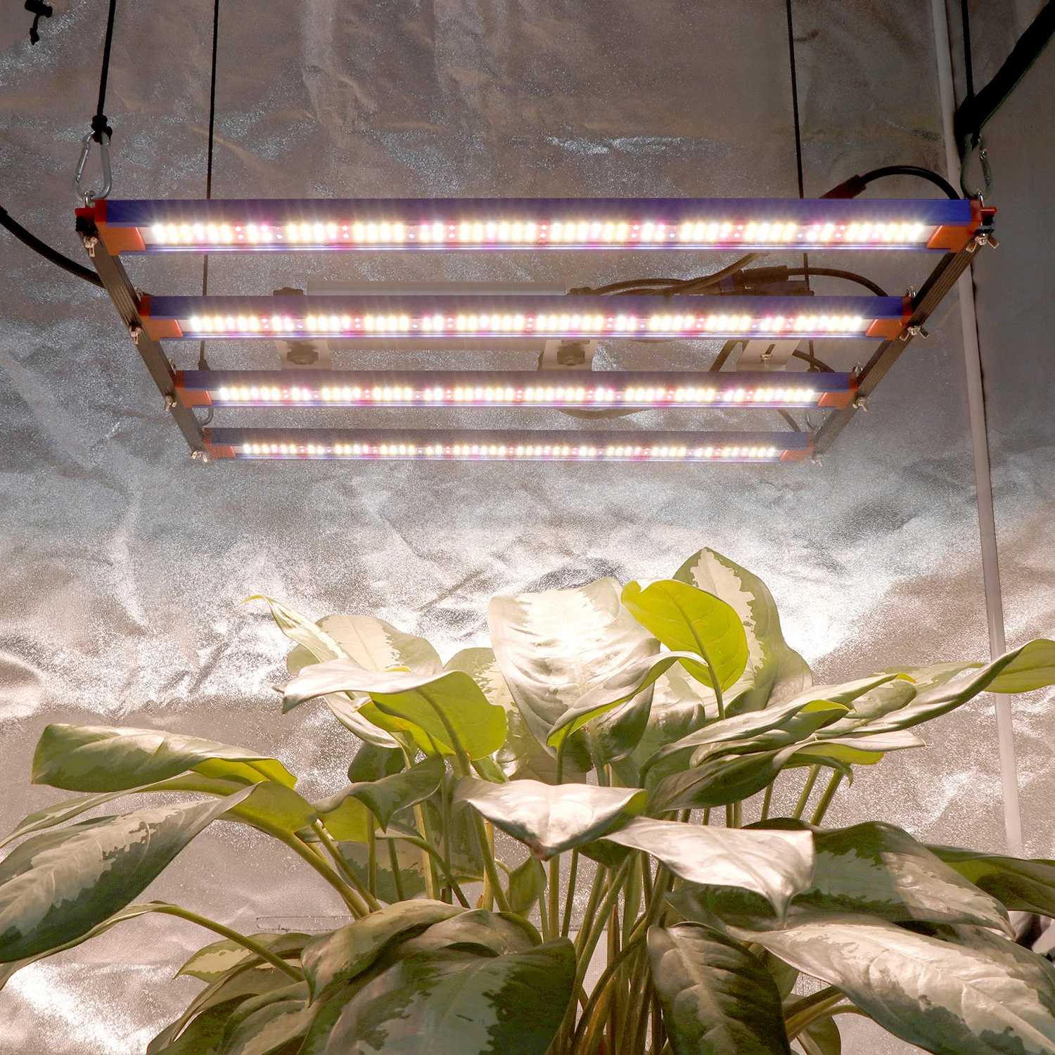 Waterproof Phytolamp Leds Phyto Growth Lamp AC 220V Full Spectrum Led Plant  Light 240w Grow Light for Indoor Plant