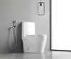 Siphonic / Washdown