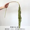Riz vert au sarrasin