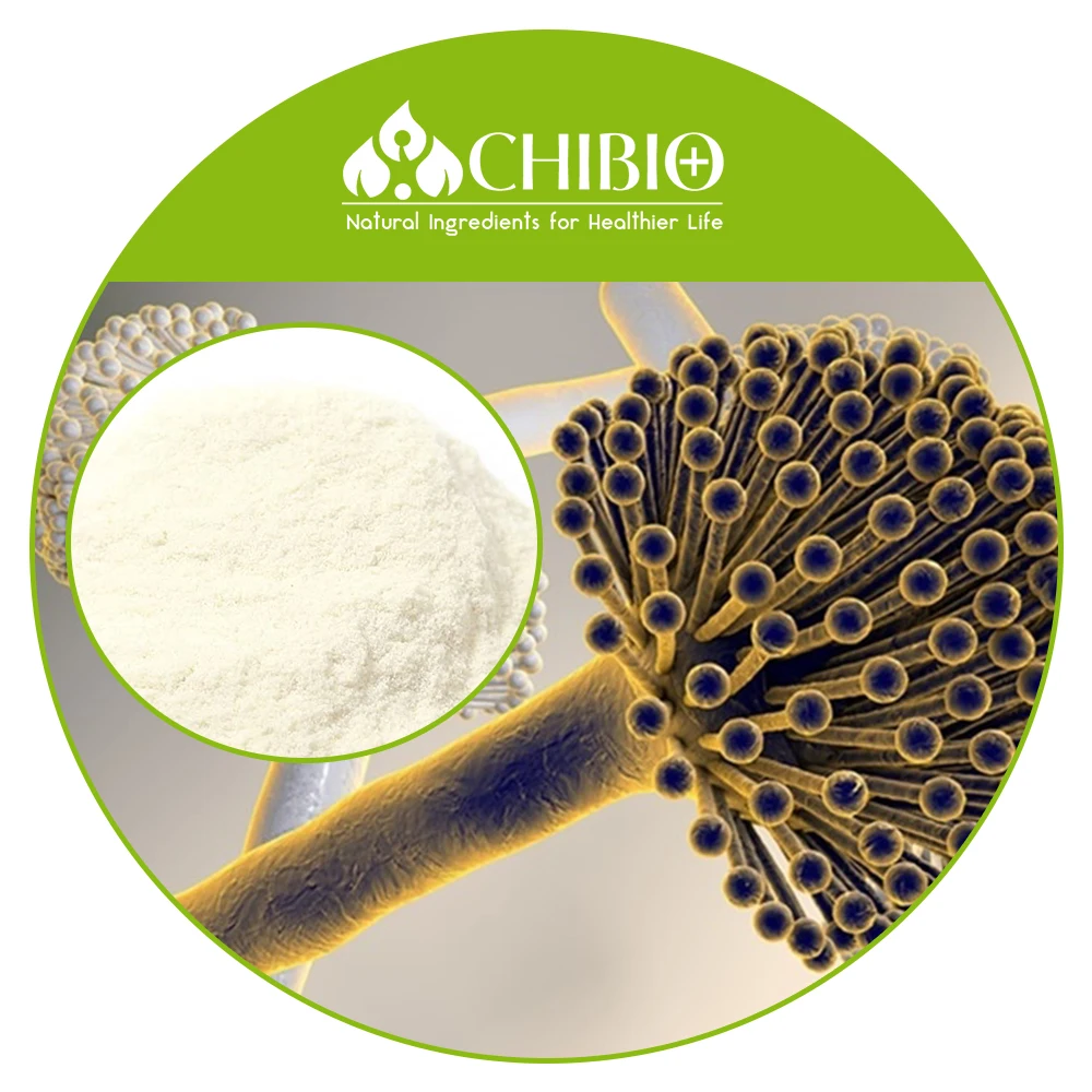 100 Natural Ingredients Food Grade Aspergillus Niger Chitosan Hydrochloride For Face Cream Antiaging Buy Chitosan Hydrochloride Face Cream Antiaging Food Grade Aspergillus Niger Chitosan 100 Natural Ingredients Chitosan Product On Alibaba Com