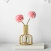 Test tube flower pot small ball rose red 2