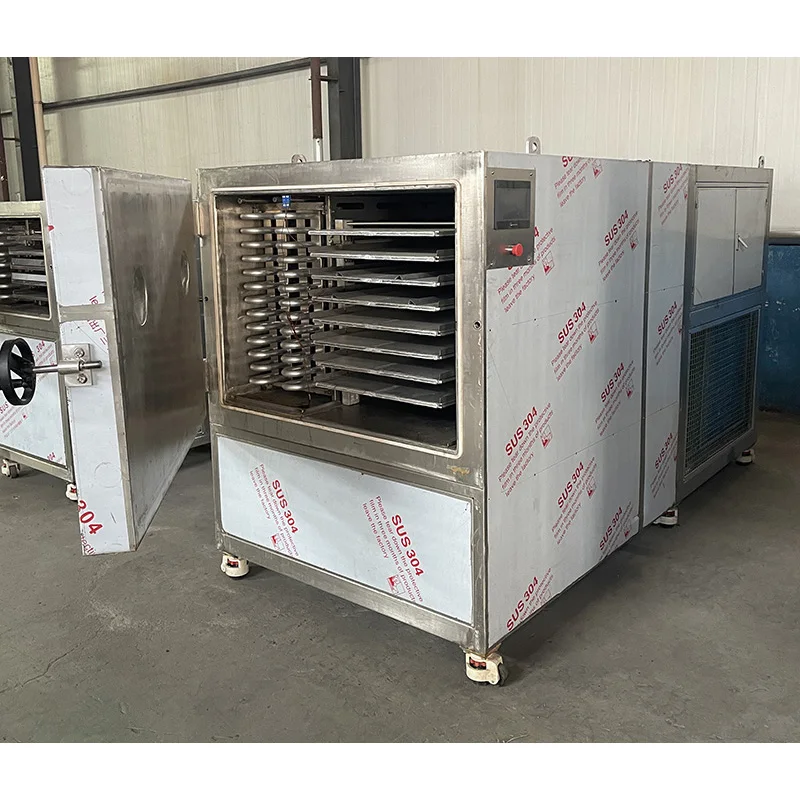 Commercial Industrial Freeze Dryer Lyophilizer Freeze Dryer For Food Fruit Vegetable Celery