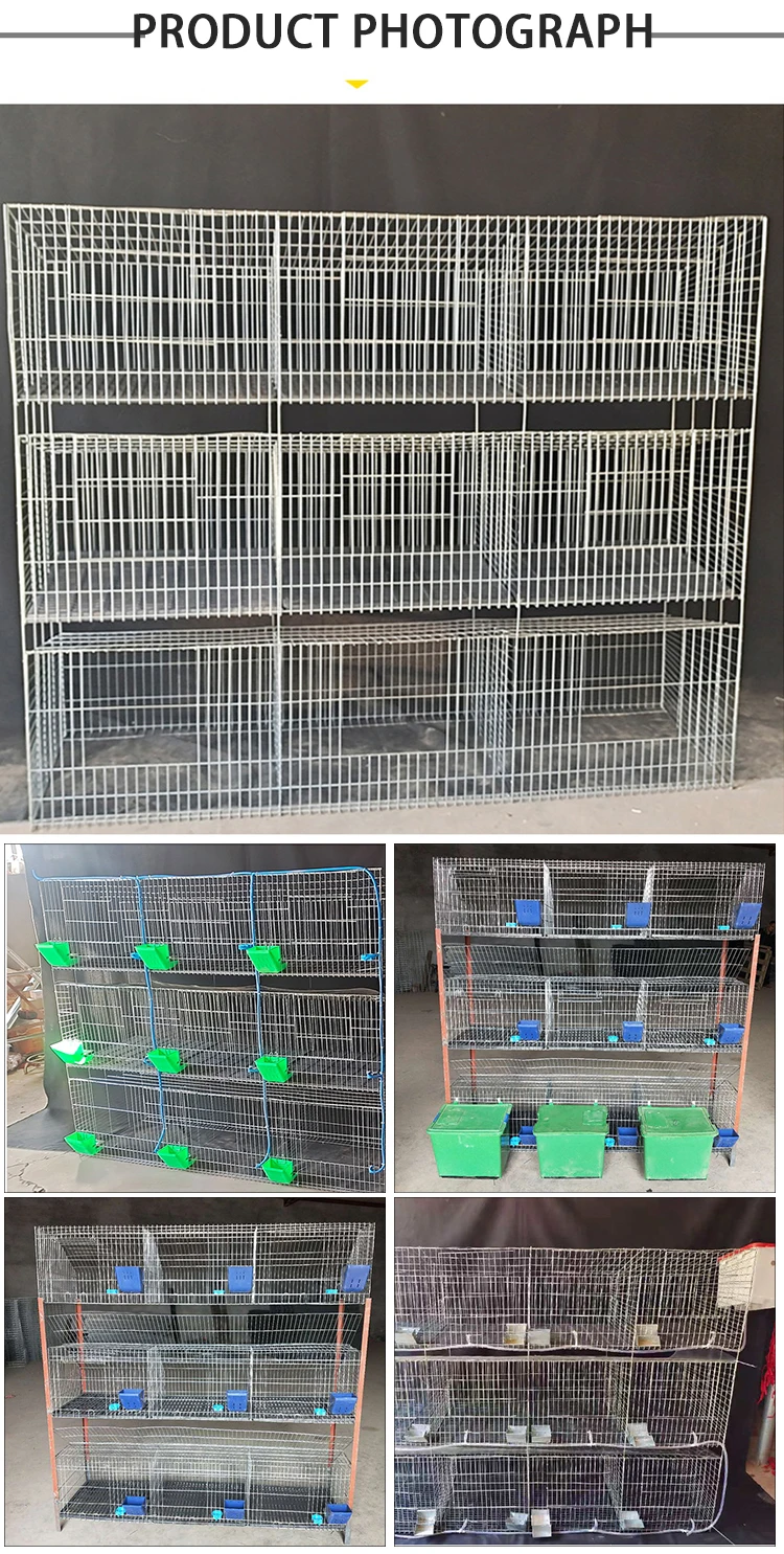 9 Or 12 Doors Luxury Commercial Rabbit Farm Cage With Automatic Rabbit