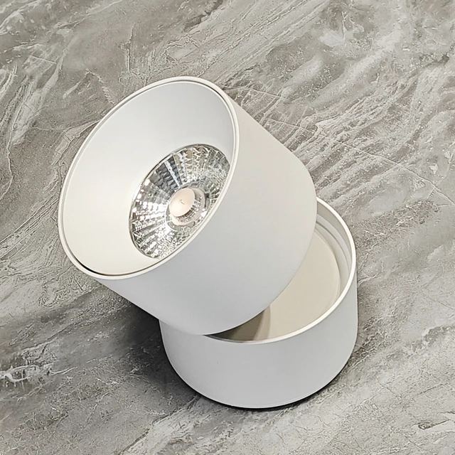 10W 20W 30W Surface Mounted Downlight product sample