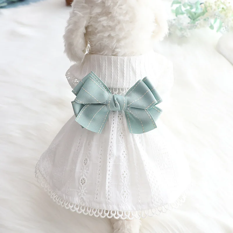 mint green dog dress Venice Kelly Green Dog Hoodie main image 1