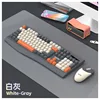 White/Gray Keyboard & Mouse Raikoo R903
