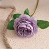 Pourpre