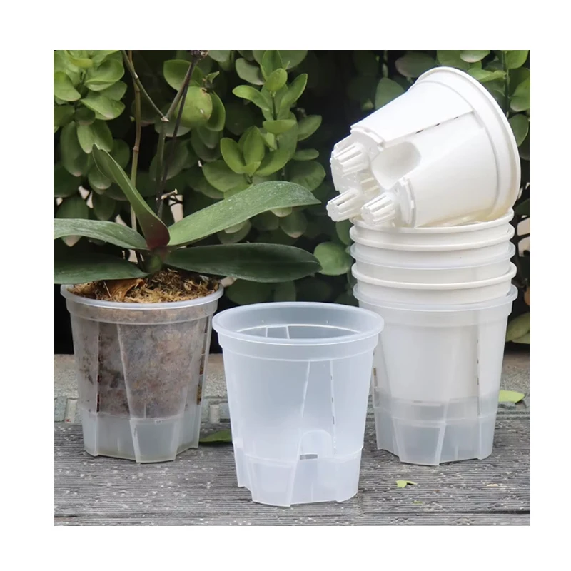 potting mix for venus fly trap Venus Flytrap Repotting Kit
