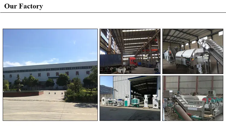 our-factory_32.jpg